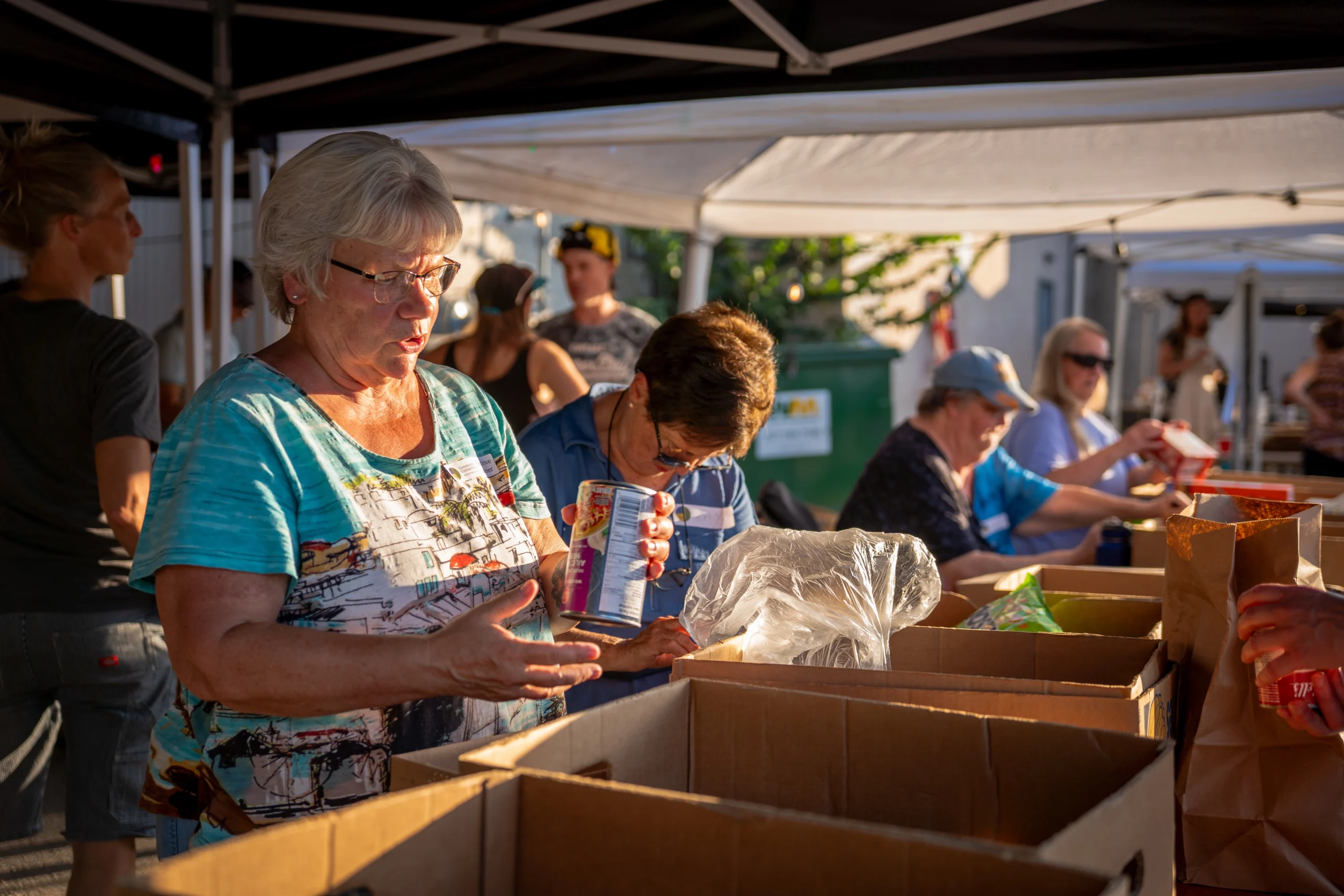Individuals sorting food in boxes for charity food drive